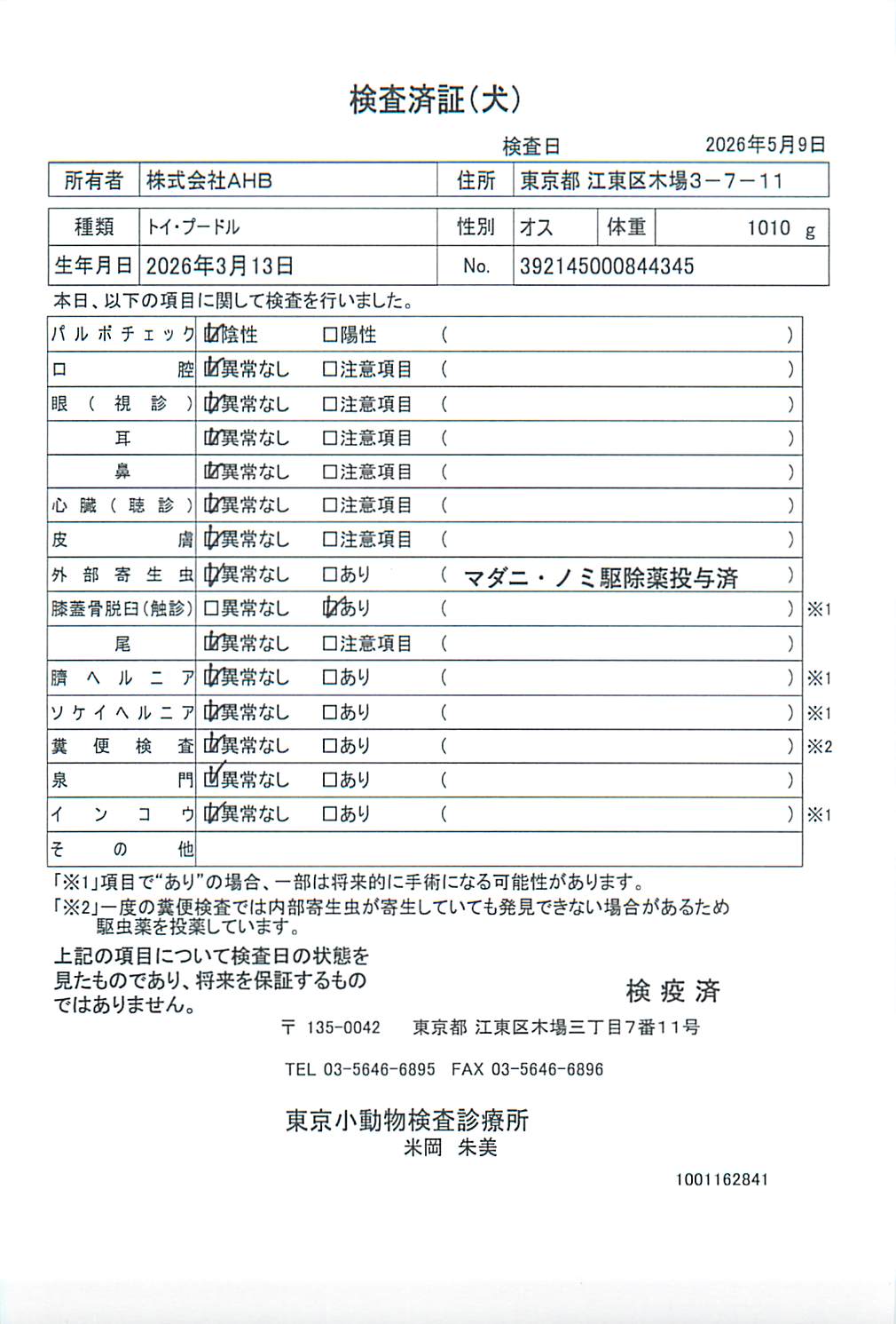 トイ・プードル