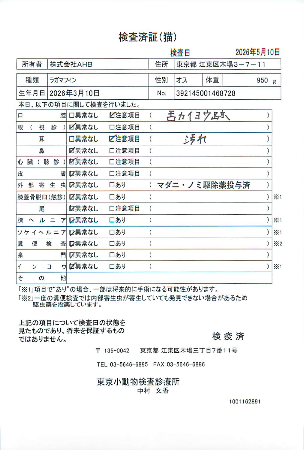 ラガマフィン