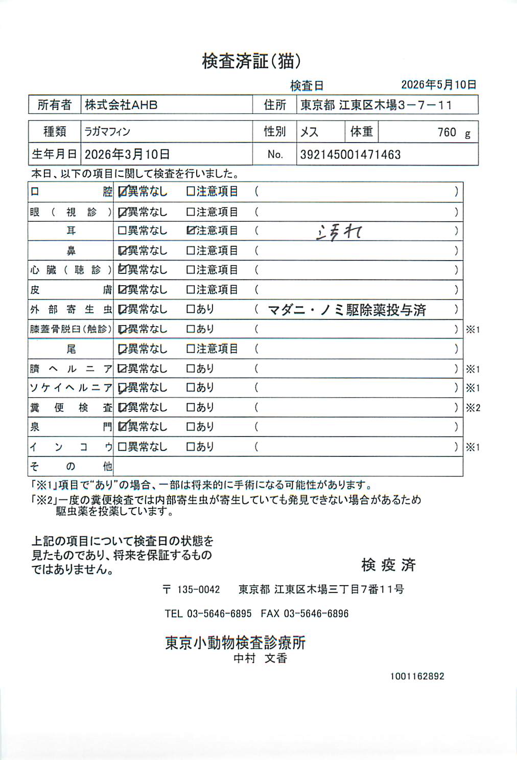 ラガマフィン
