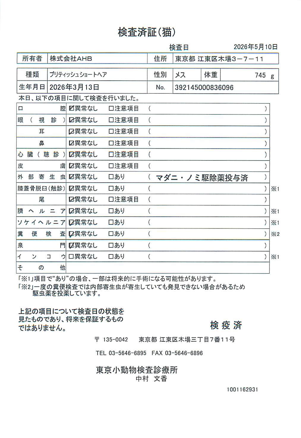 ブリティッシュショートヘア