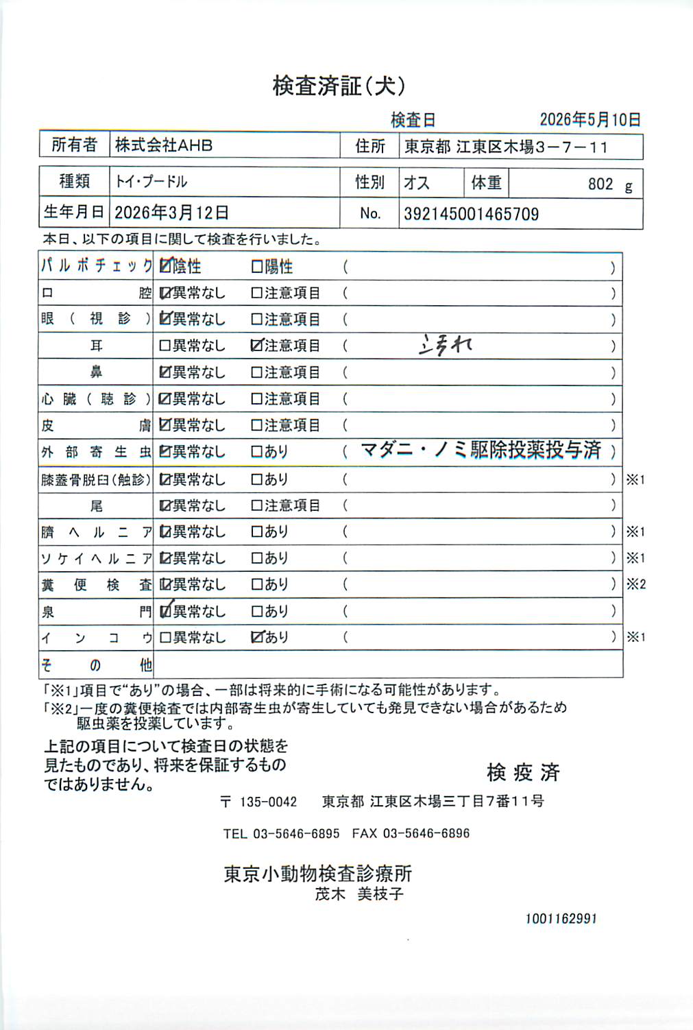 トイ・プードル