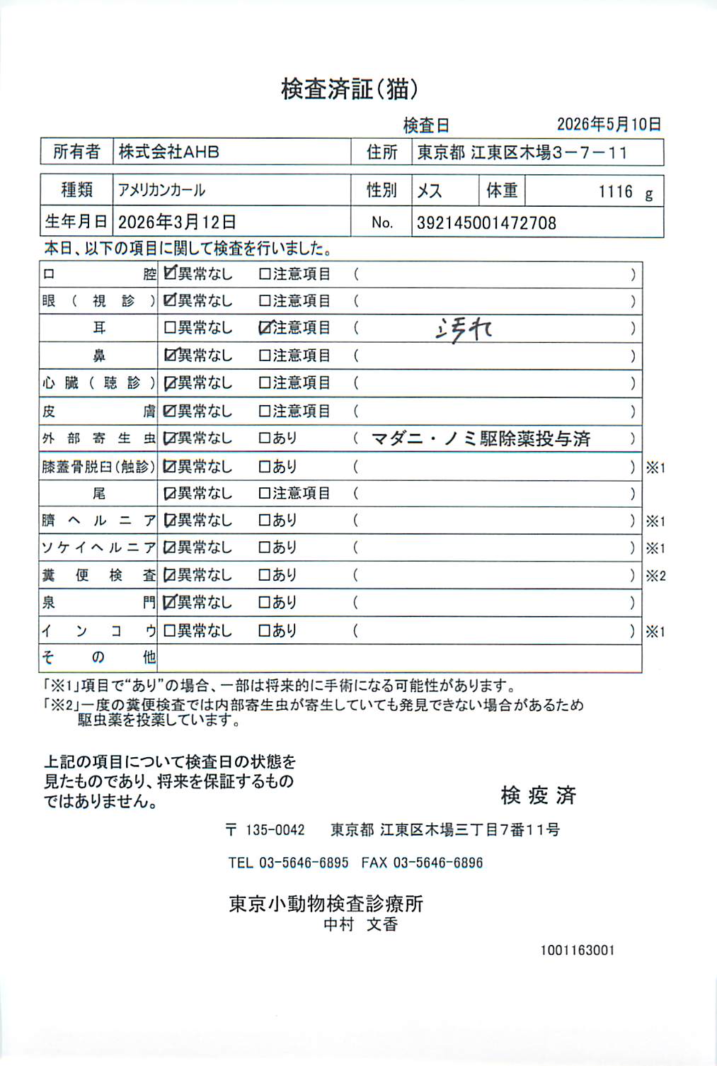 アメリカンカール