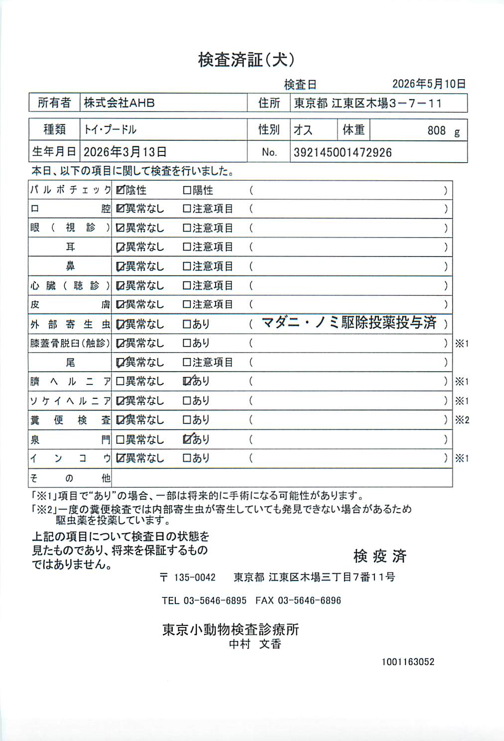 トイ・プードル