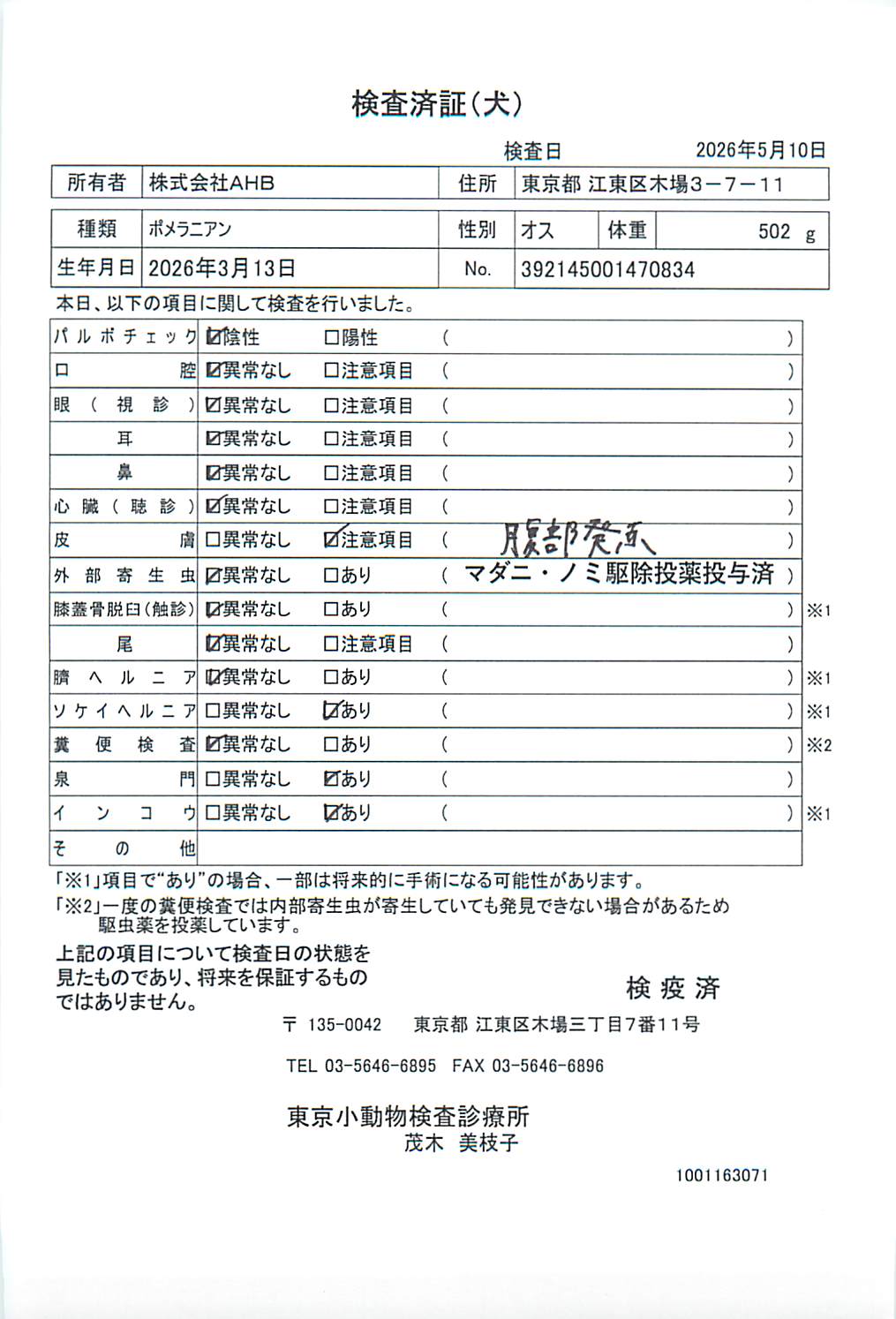 ポメラニアン