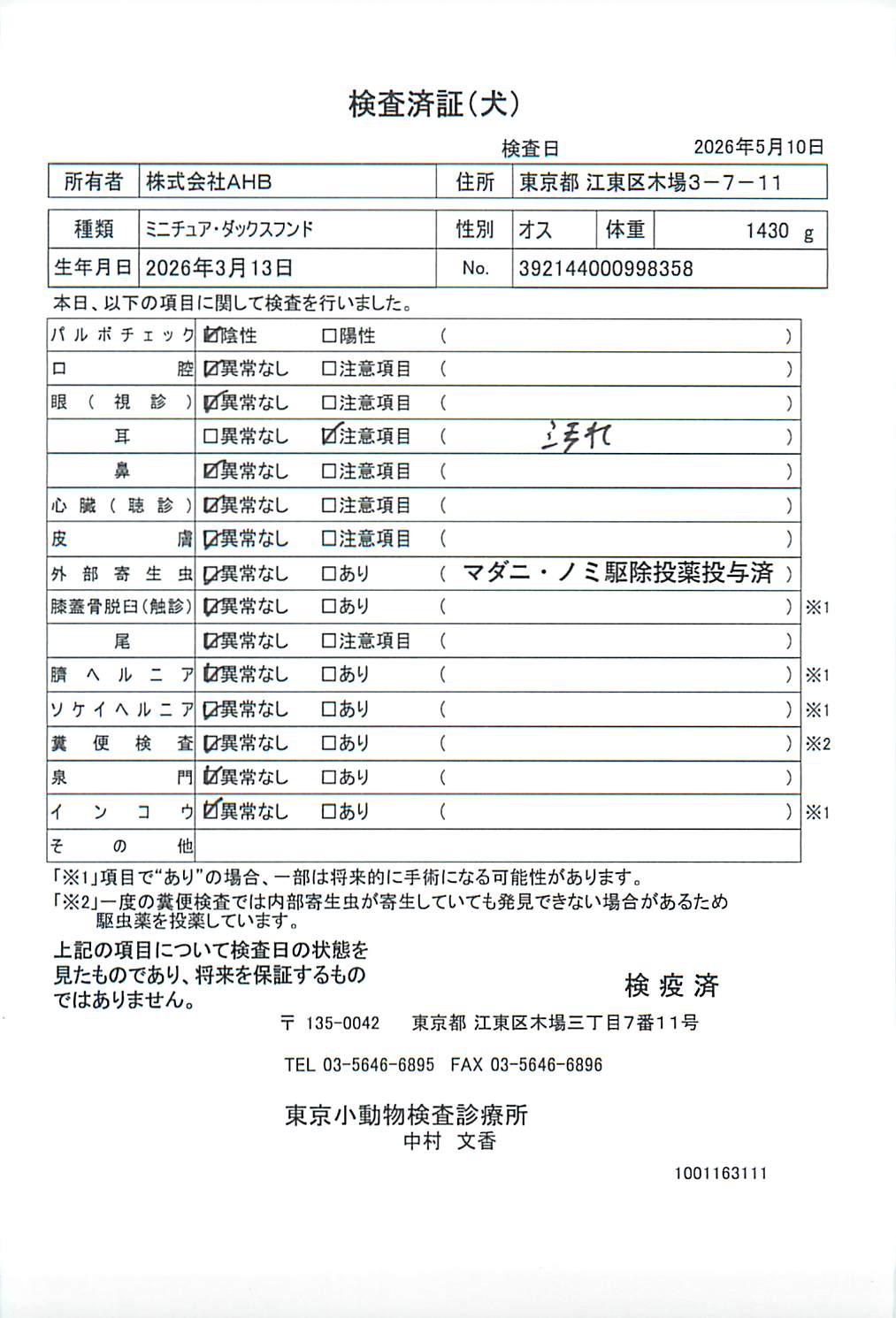 ミニチュア・ダックスフンド