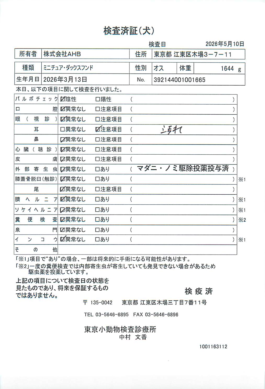ミニチュア・ダックスフンド