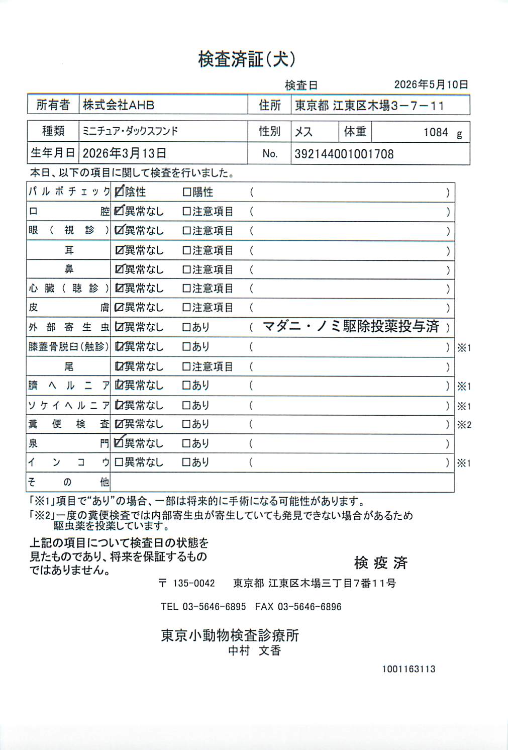 ミニチュア・ダックスフンド