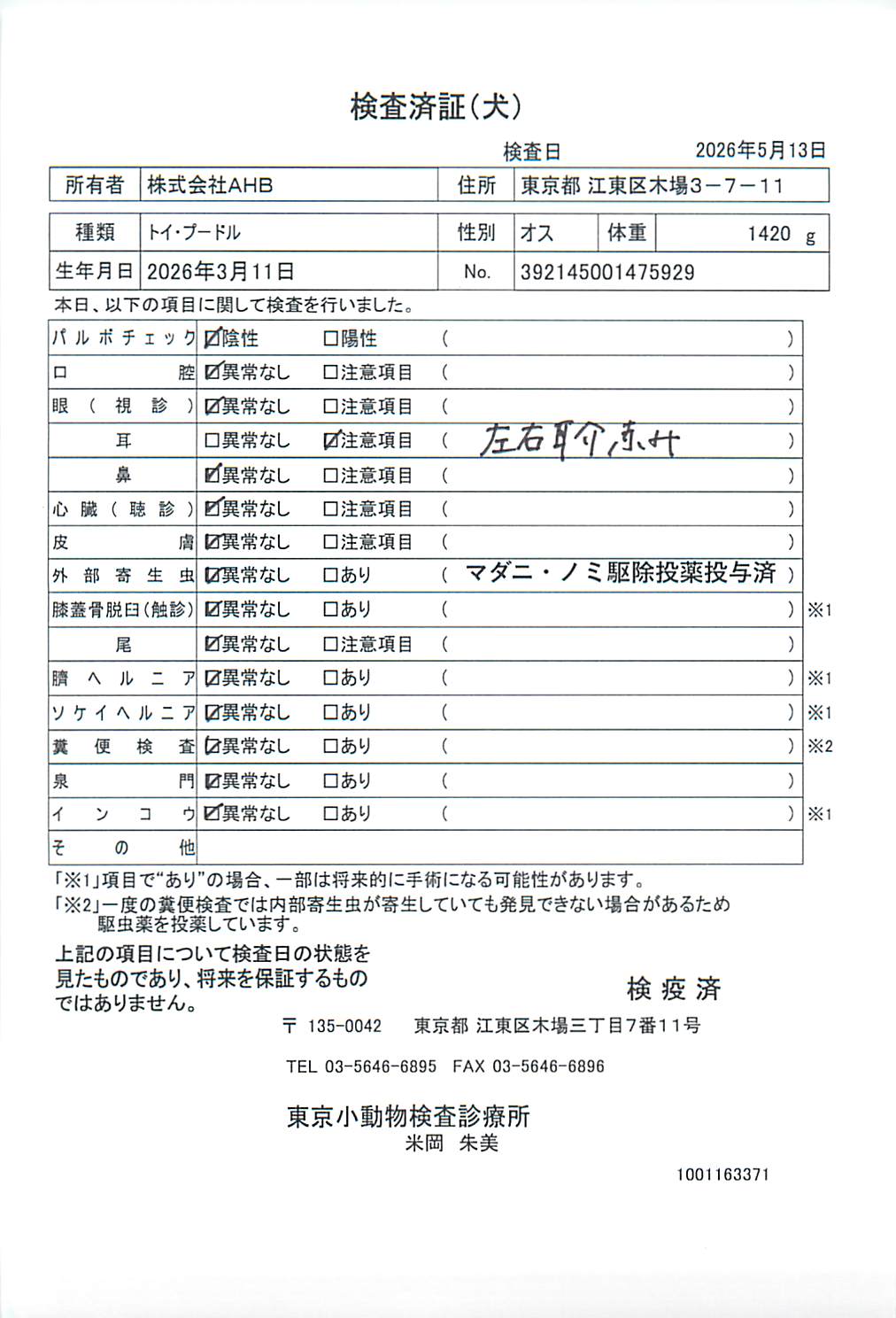 トイ・プードル