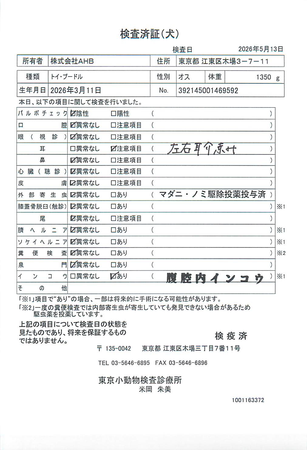 トイ・プードル