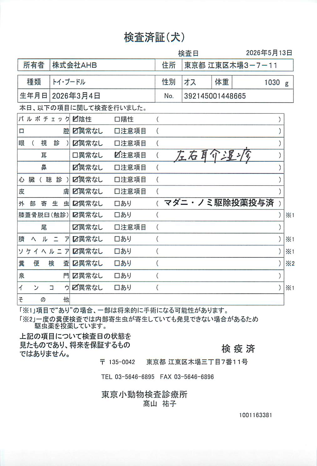 トイ・プードル
