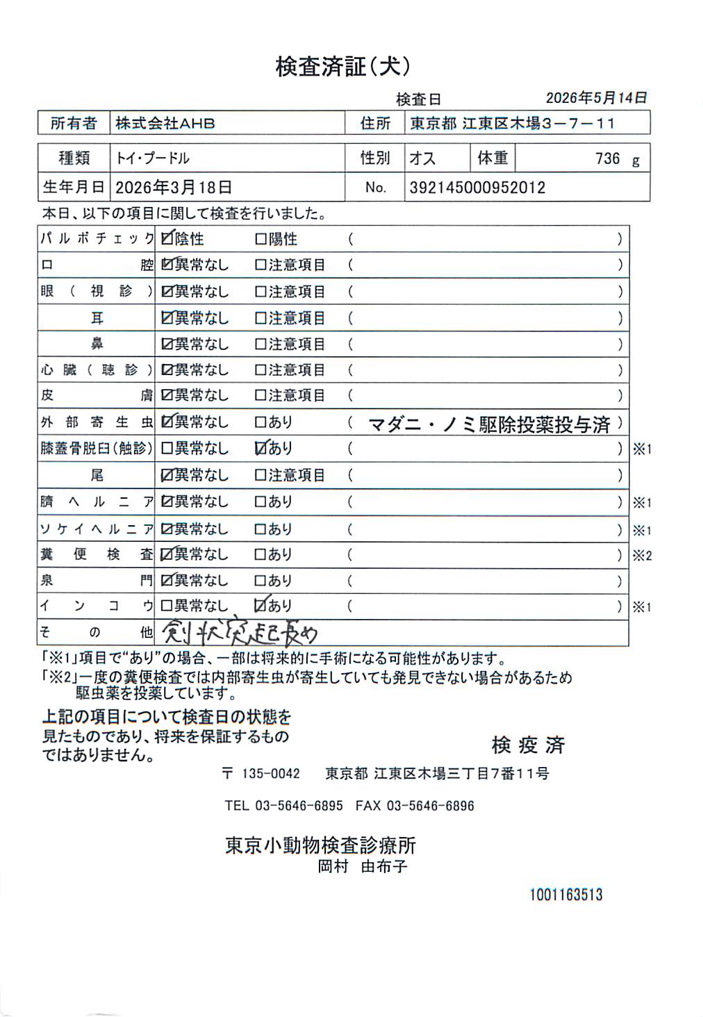 トイ・プードル
