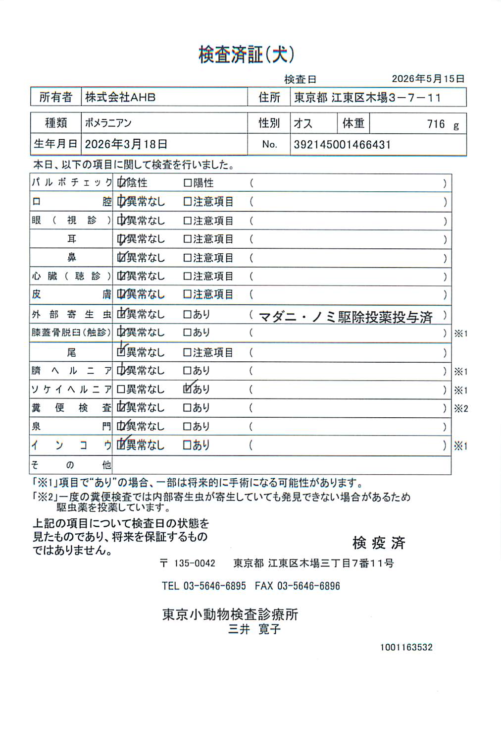 ポメラニアン