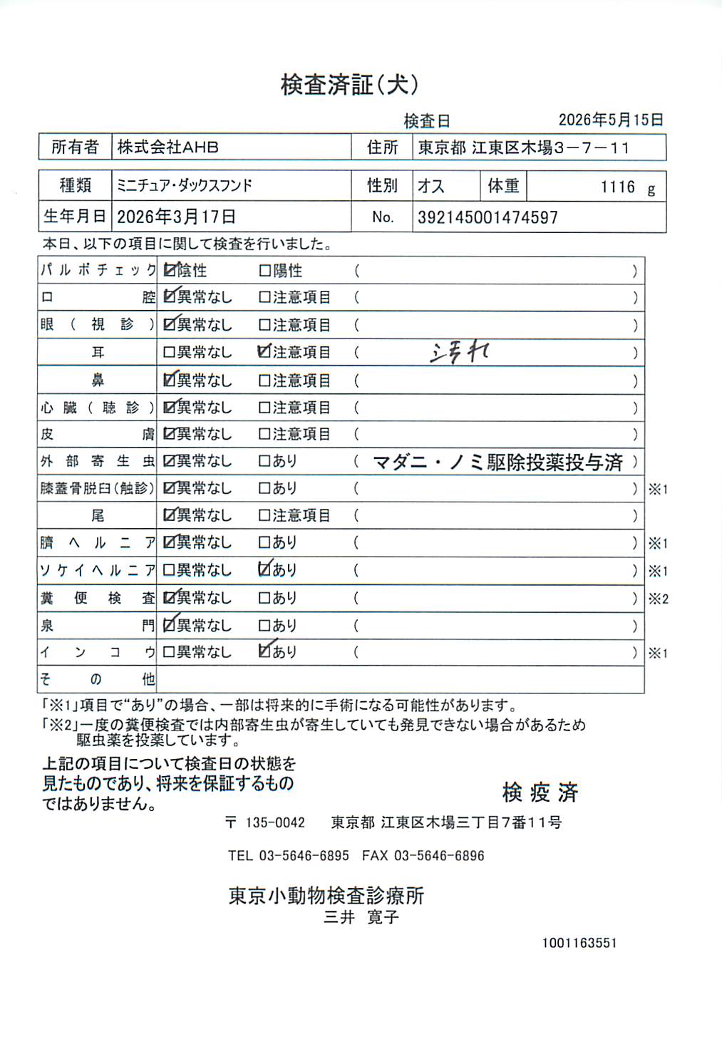 ミニチュア・ダックスフンド