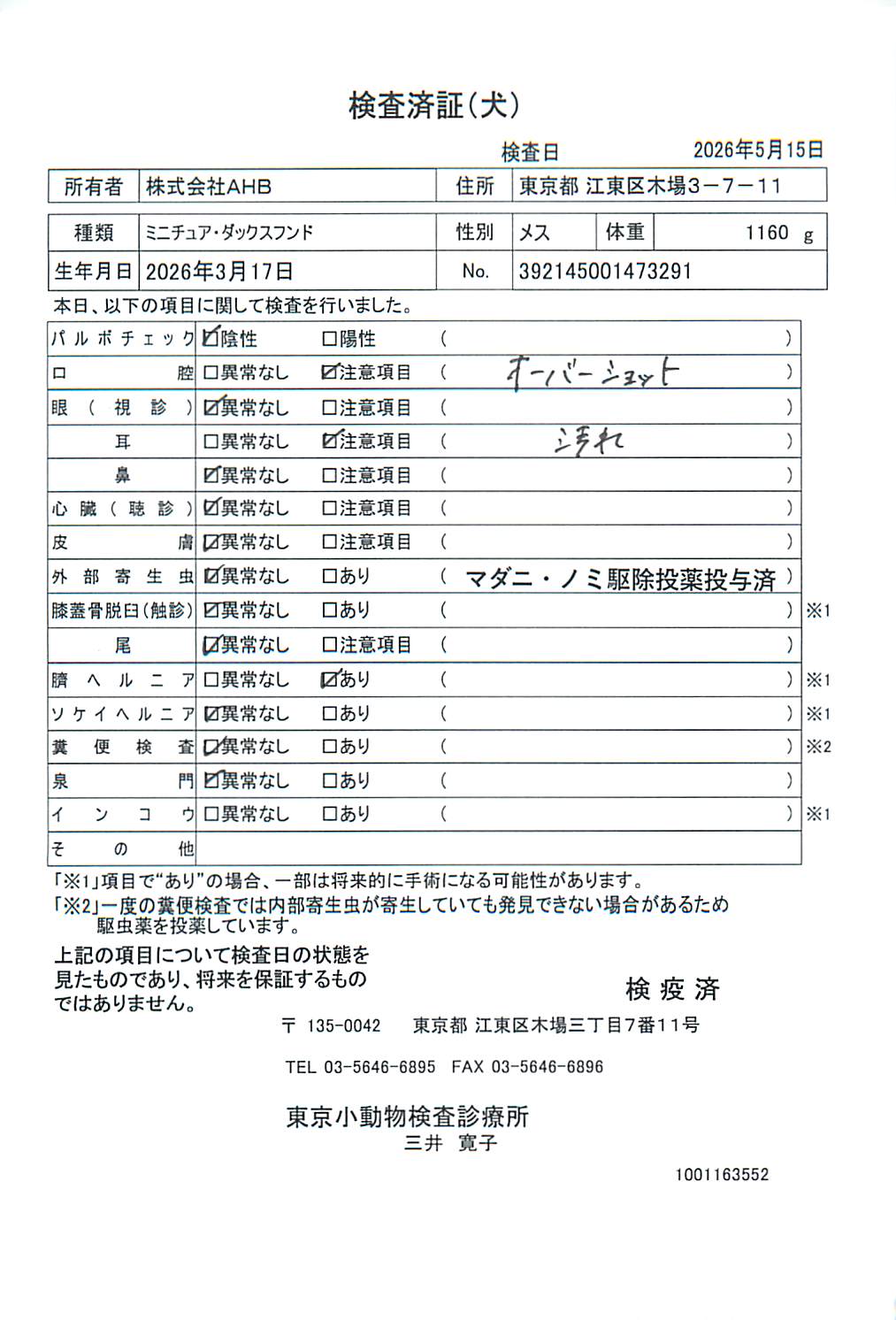 ミニチュア・ダックスフンド