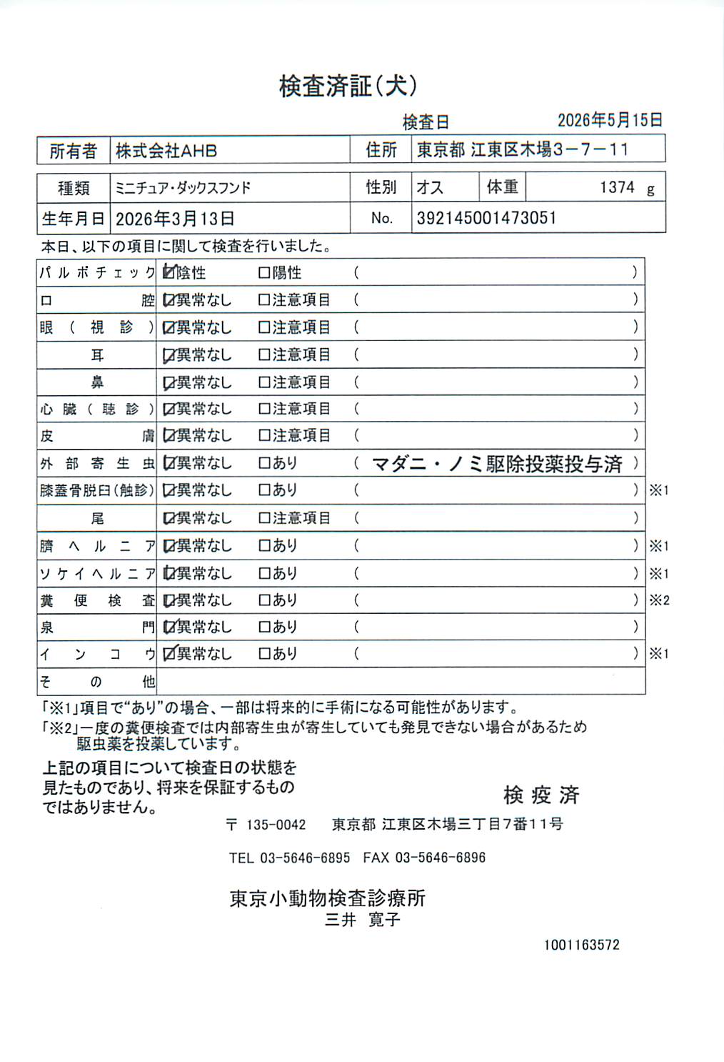 ミニチュア・ダックスフンド