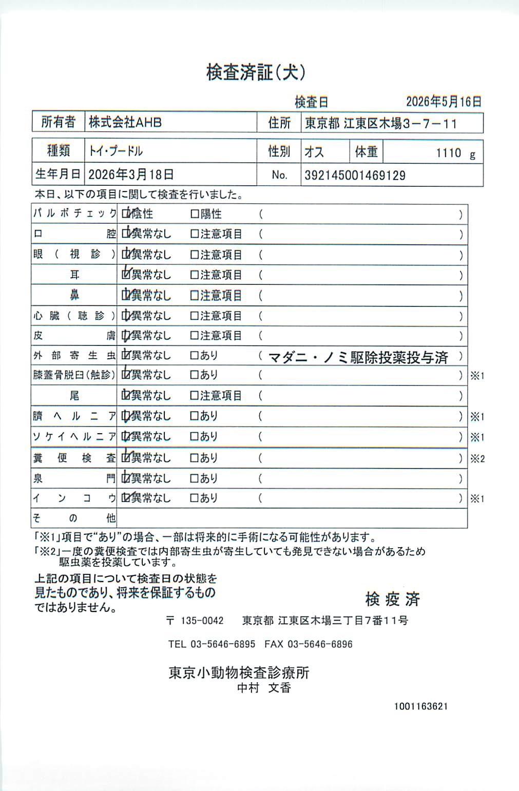 トイ・プードル