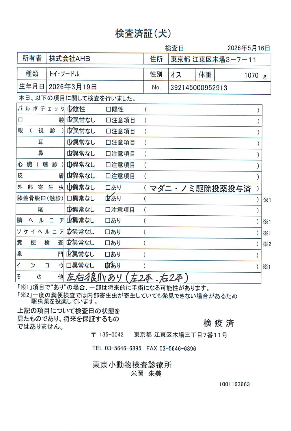 トイ・プードル