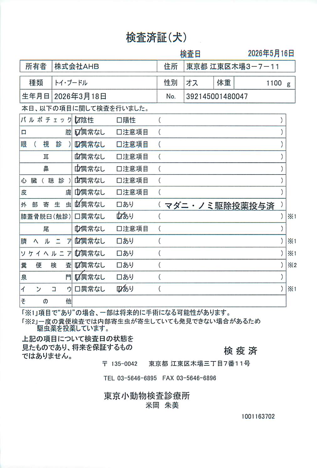 トイ・プードル