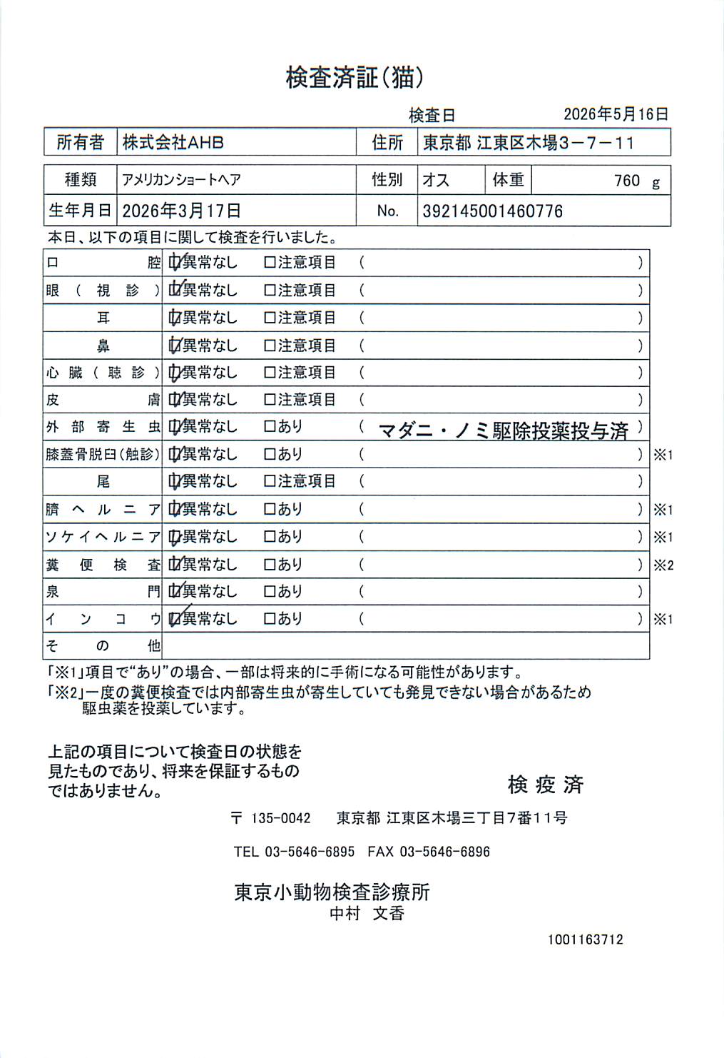 アメリカンショートヘア