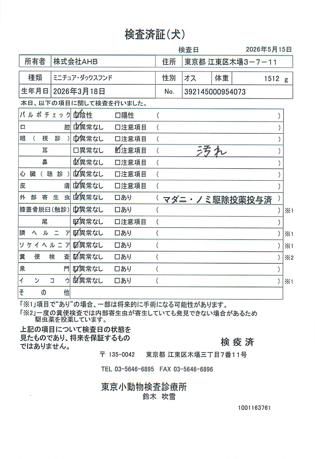ミニチュア・ダックスフンド
