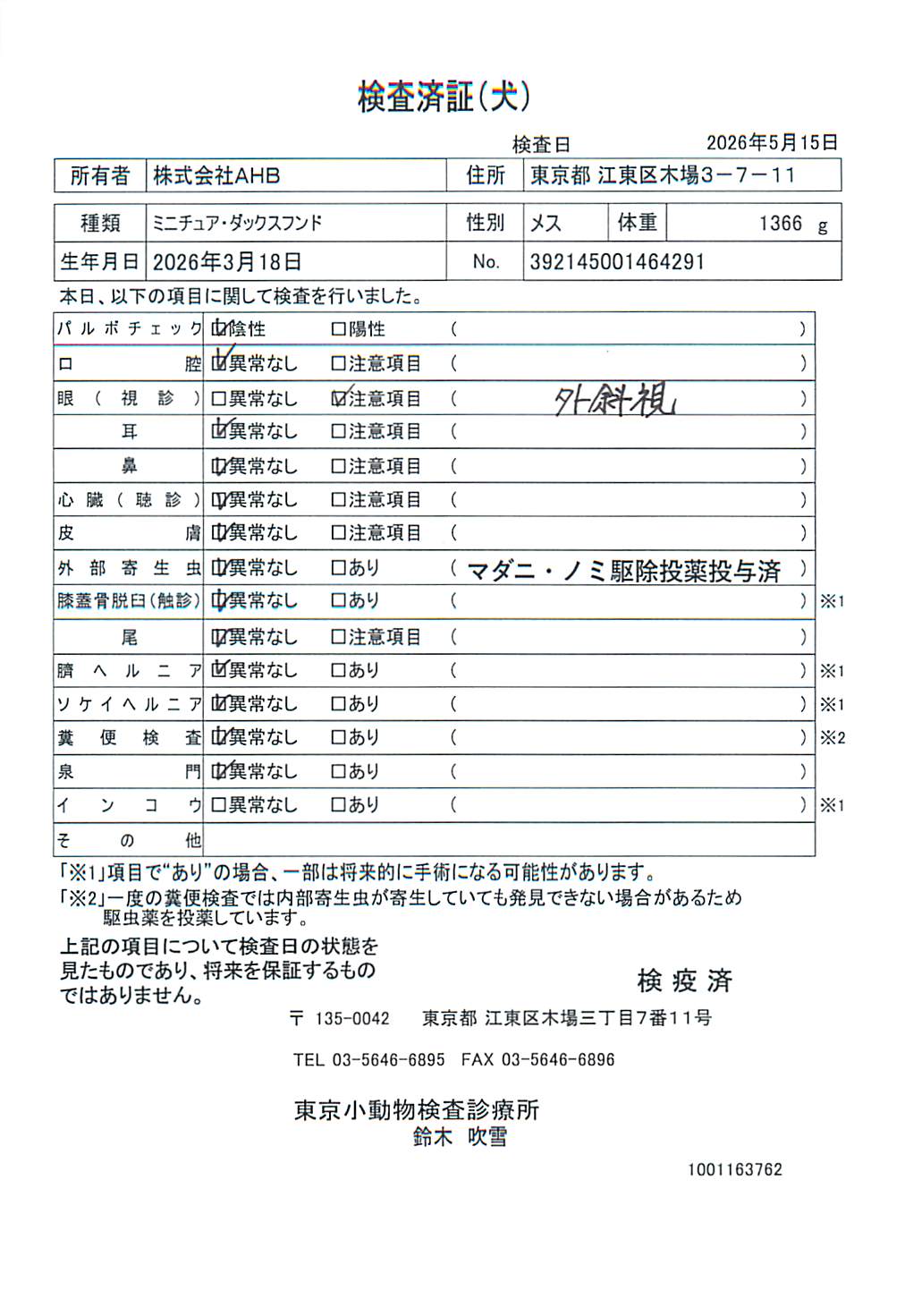 ミニチュア・ダックスフンド