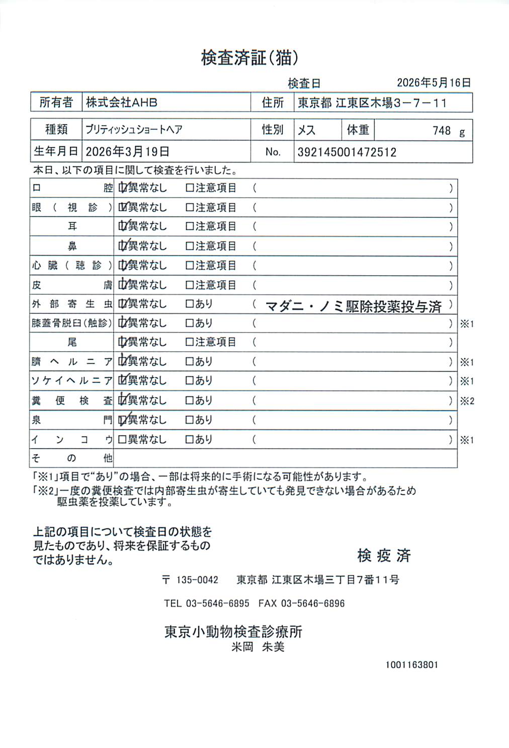 ブリティッシュショートヘア