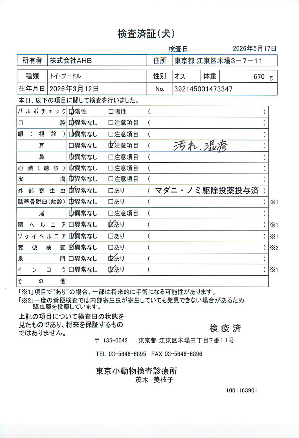 トイ・プードル