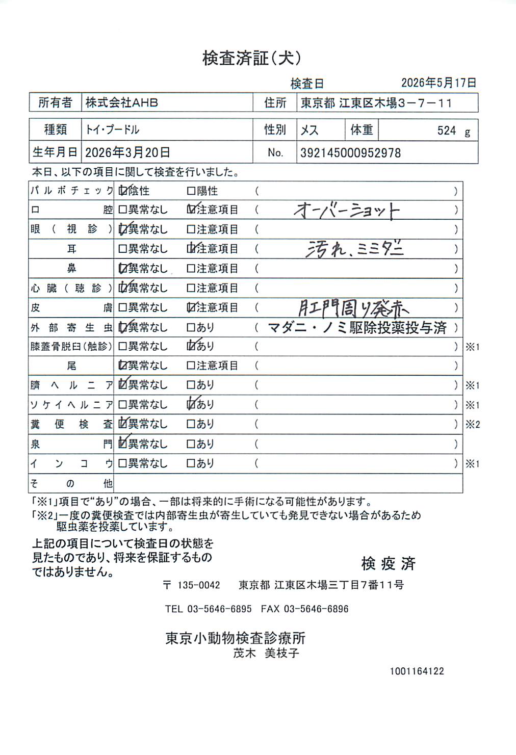 トイ・プードル