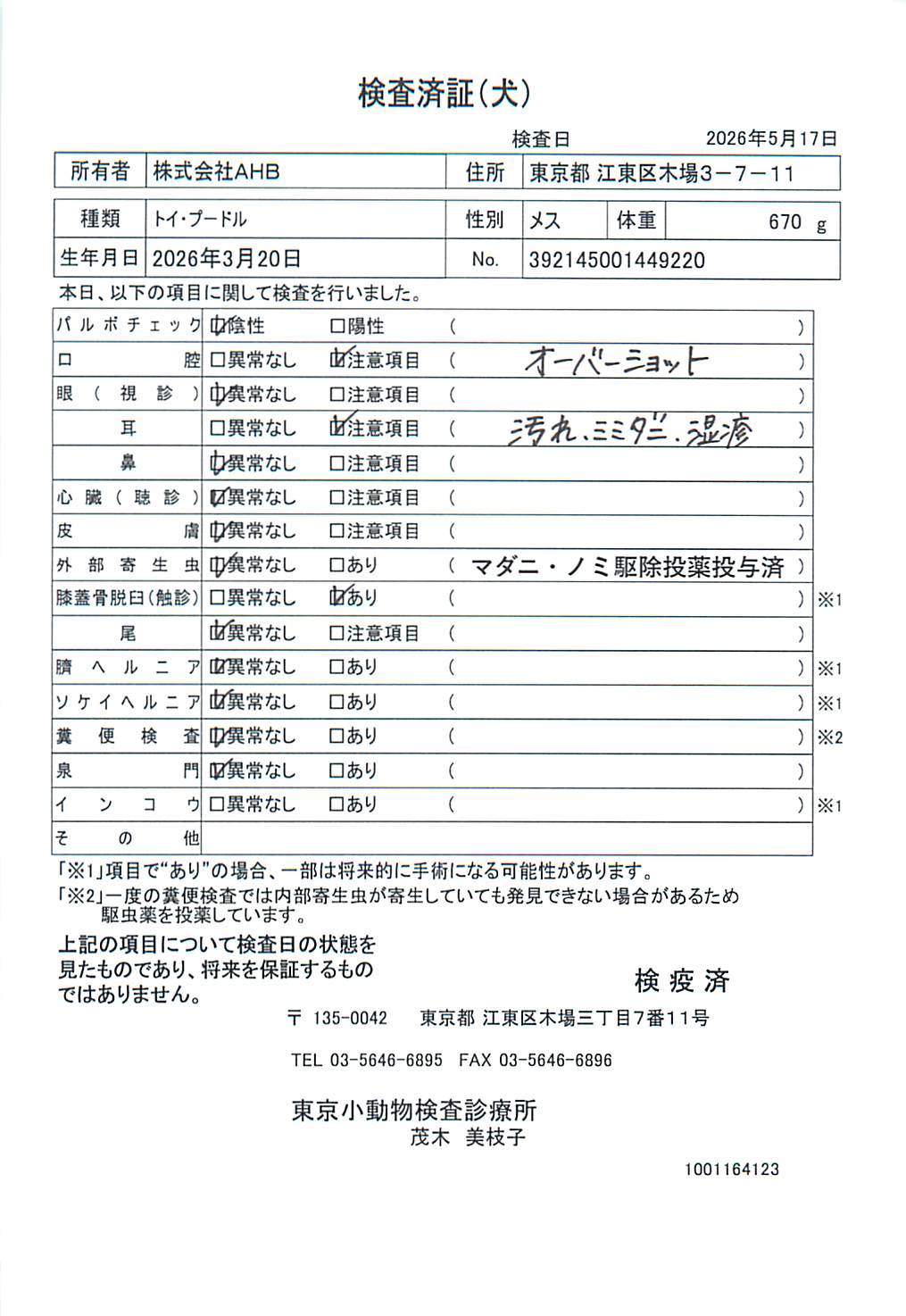 トイ・プードル
