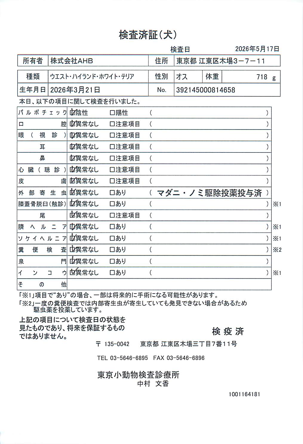 ウエスト・ハイランド・ホワイト・テリア