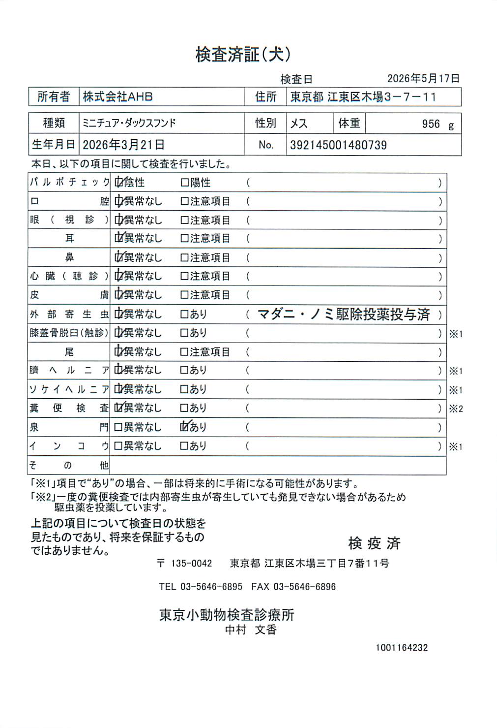 ミニチュア・ダックスフンド