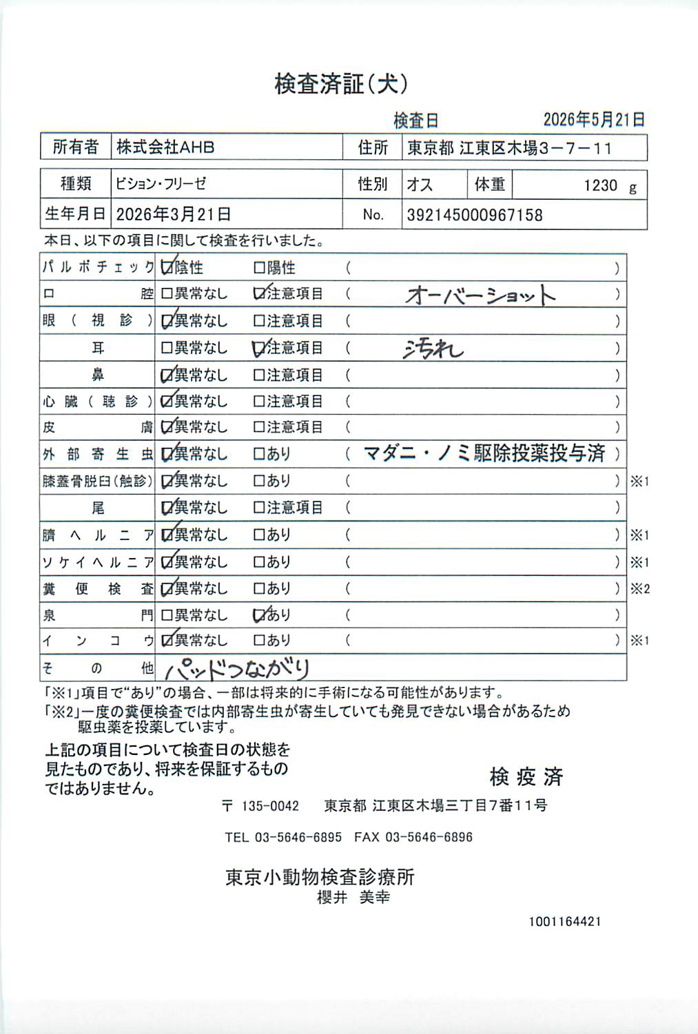 ビション・フリーゼ