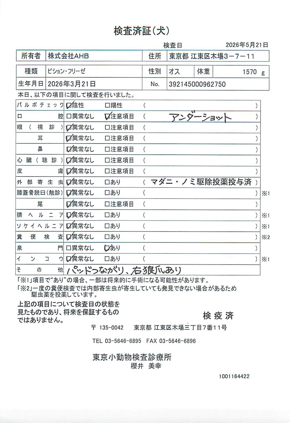 ビション・フリーゼ