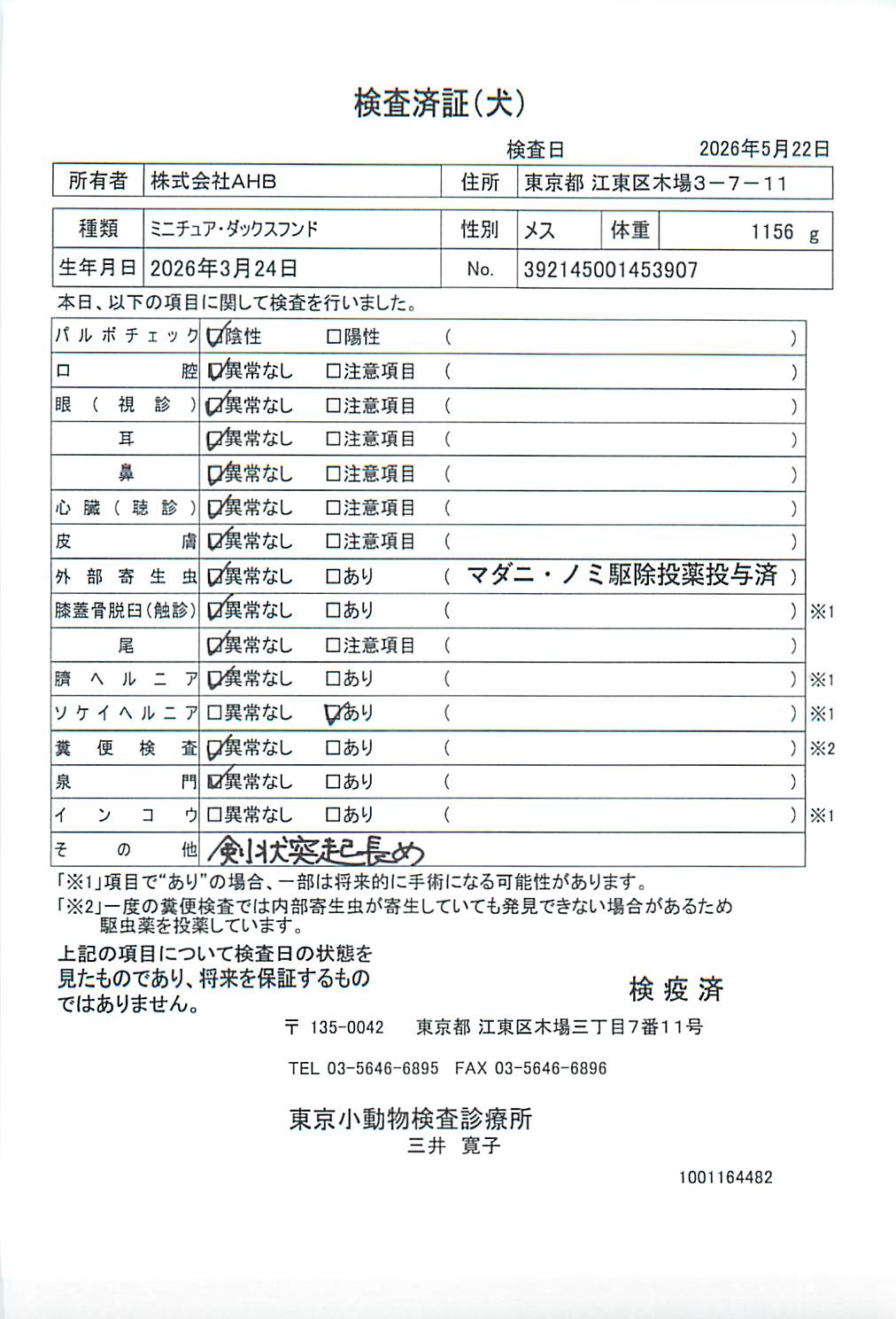 ミニチュア・ダックスフンド