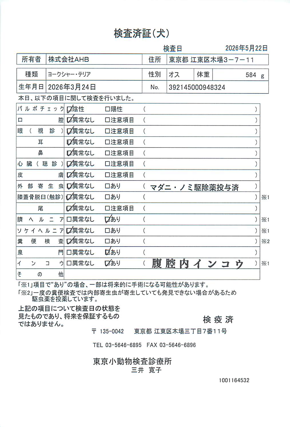 ヨークシャー・テリア