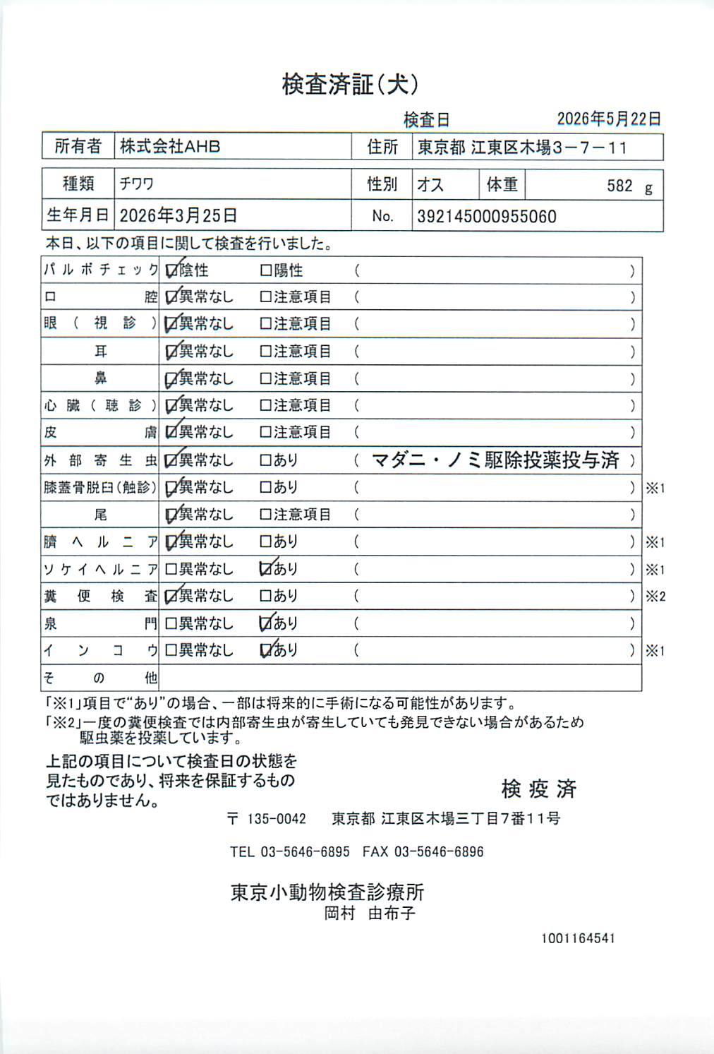 チワワ