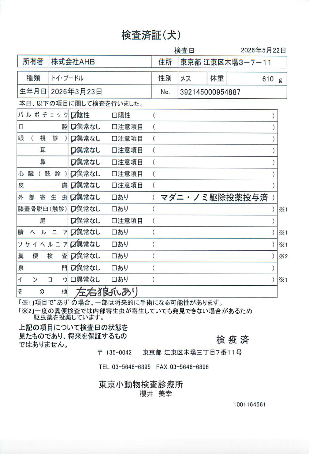 トイ・プードル