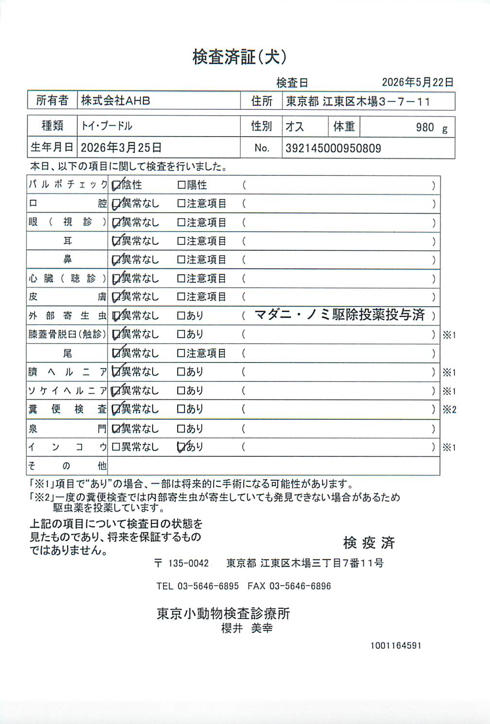 トイ・プードル