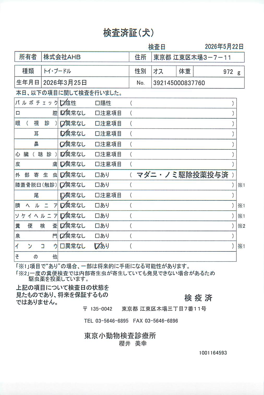 トイ・プードル