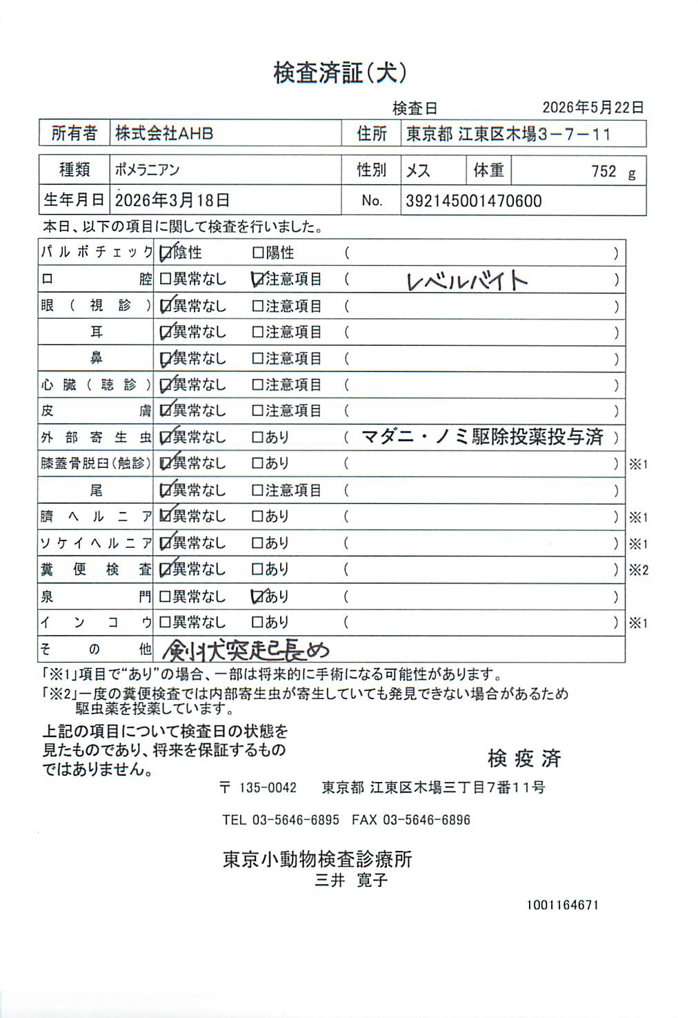 ポメラニアン