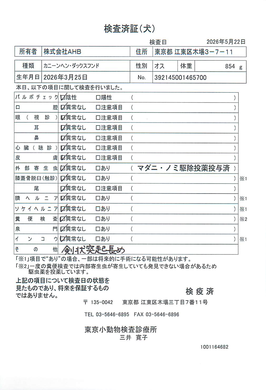 カニーンヘン・ダックスフンド