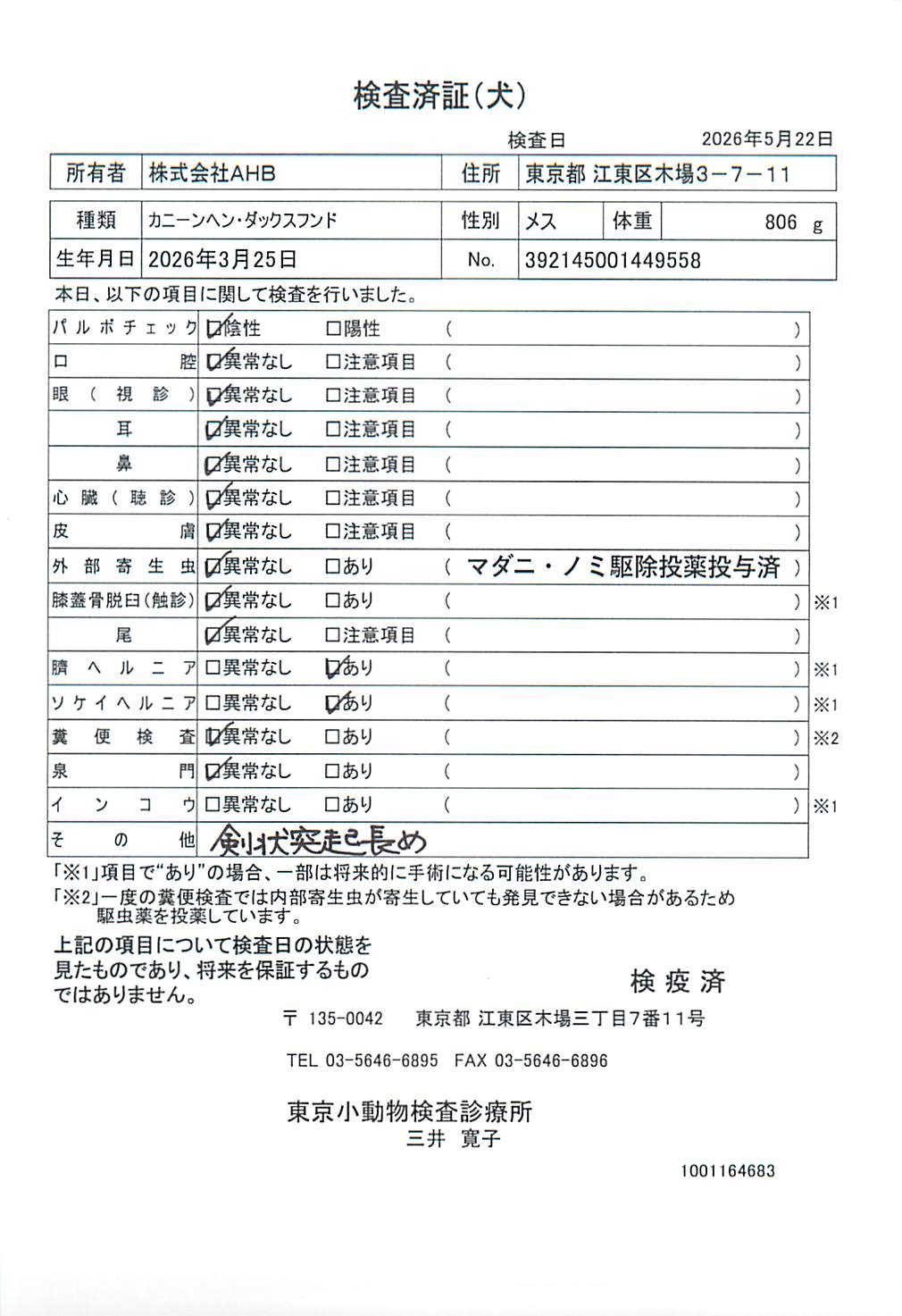 カニーンヘン・ダックスフンド