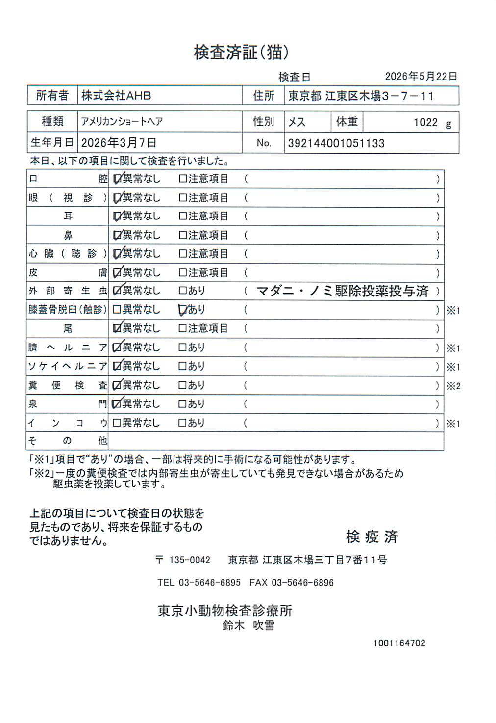 アメリカンショートヘア