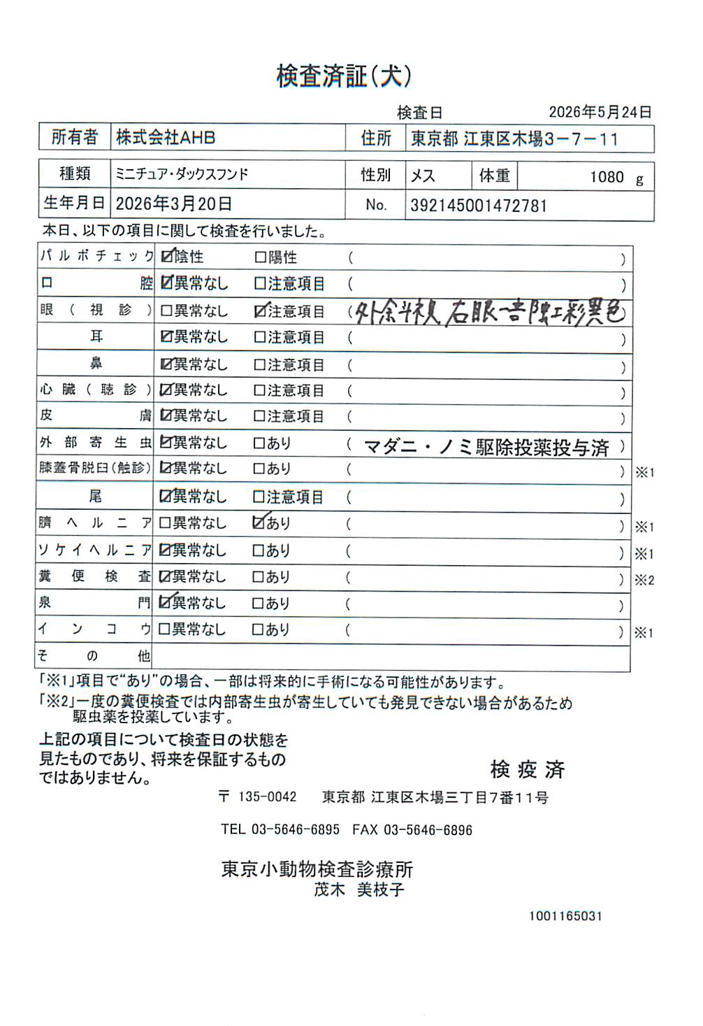 ミニチュア・ダックスフンド
