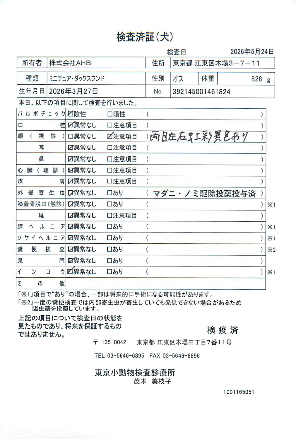 ミニチュア・ダックスフンド