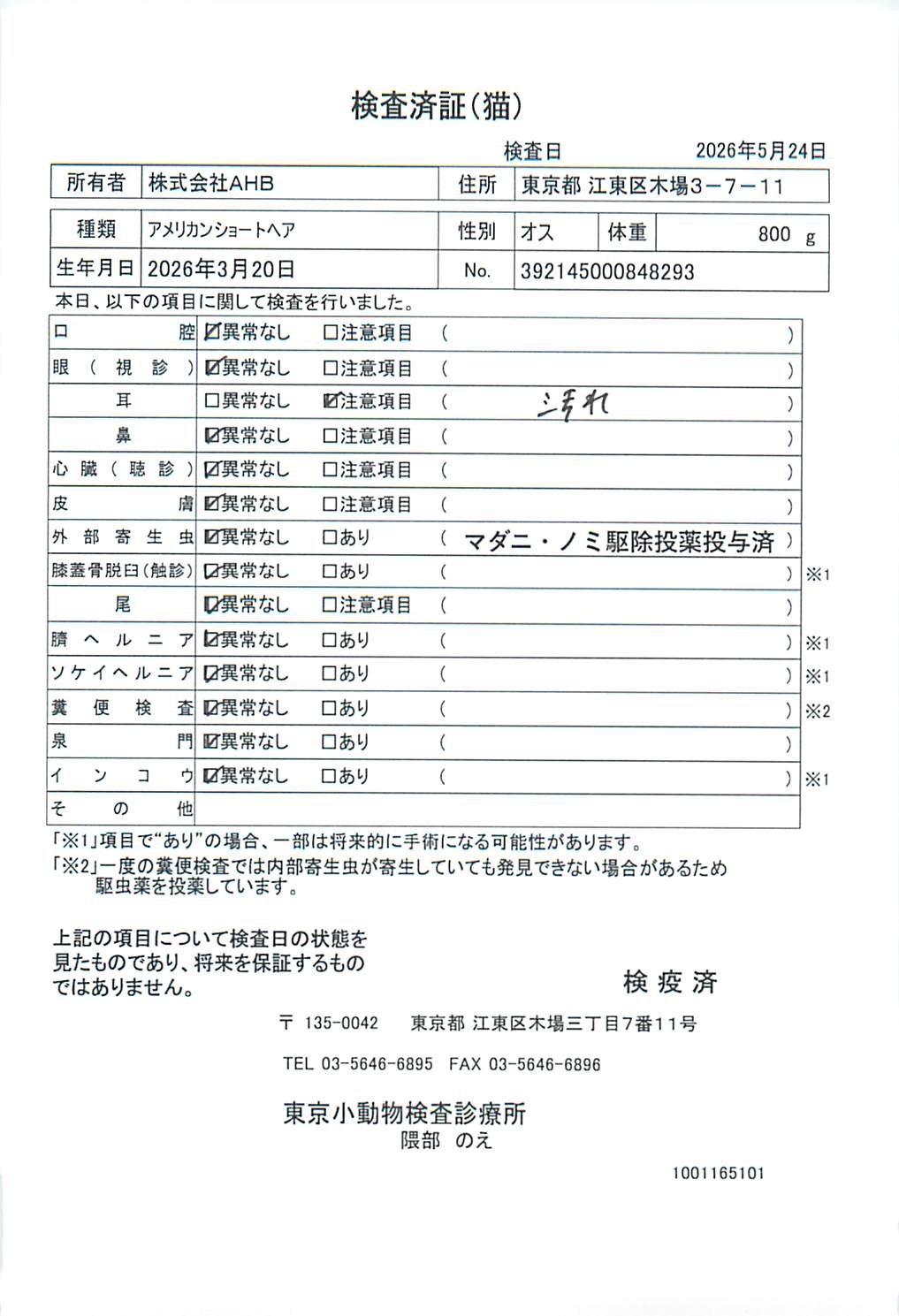 アメリカンショートヘア