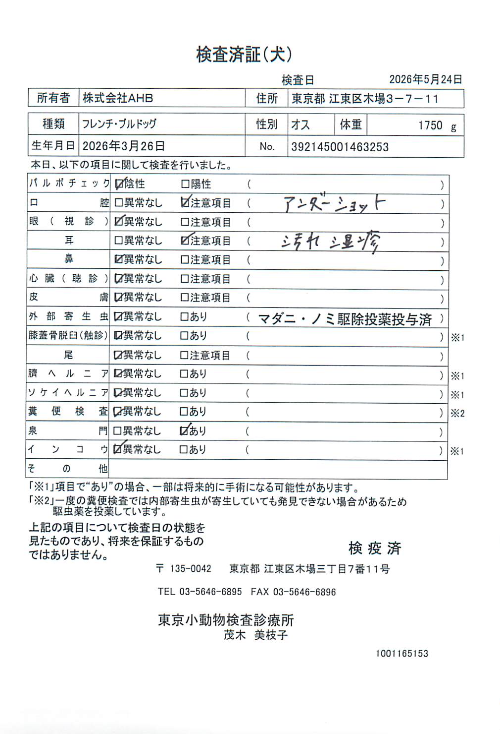 フレンチ・ブルドッグ