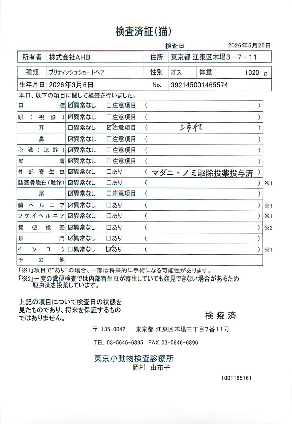 ブリティッシュショートヘア