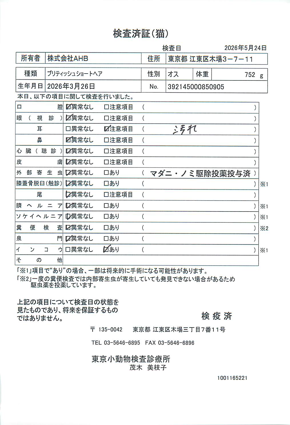 ブリティッシュショートヘア