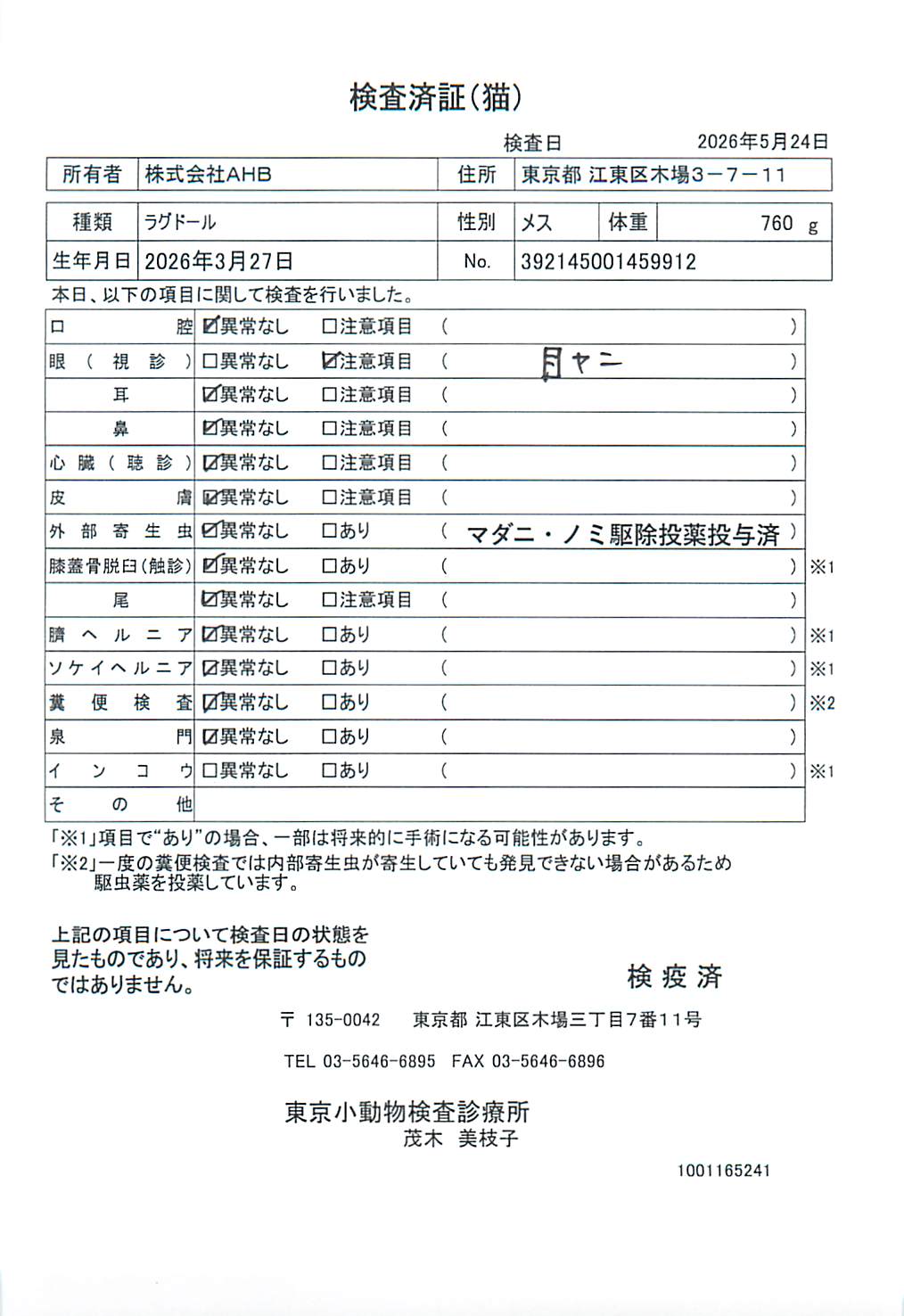 ラグドール
